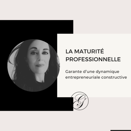 MATURITE PROFESSIONNELLE CELINE DEMOTIER